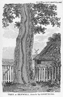 Impresiones de Un grabado que representa un árbol dividido después de ser golpeado por una descarga eléctrica en Hanwell, oeste de Londres Imágenes fechadas en noviembre de 2010: Grabado de un árbol dividido por rayos