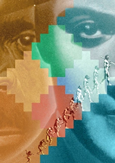 Human Evolution Imprime: Evolution