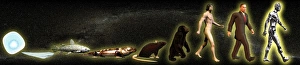Human Evolution Timeline Imprime: Evolution of man