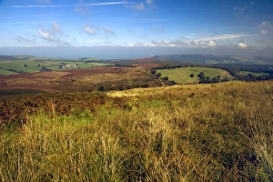 West Country Landscapes Imprime: Exmoor, Devon