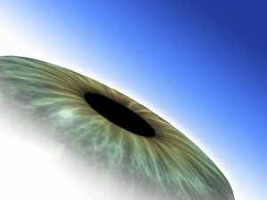 Iris Anatomy Imprime: Eye, computer artwork