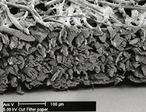 Scanning Electron Microscopy Images Imprime: Filter paper, SEM