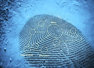 Biometric Identification Imprime: Fingerprint, computer artwork