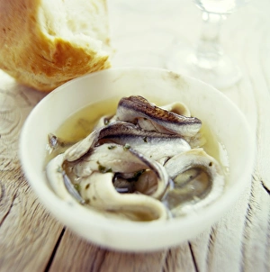 Healthy Protein Sources Imprime: Fish and bread meal