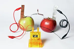 Impresiones de Reloj alimentado por frutas: En este experimento cada manzana es una célula volteaica. Las manzanas han sido conectadas para hacer un batería Imágenes fechadas en noviembre de 2010: Reloj impulsado por frutas