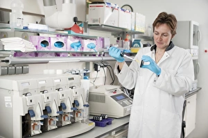 Impresiones de Modelo liberado. Preparación de arreglos genéticos del microarray. El analista vierte una muestra preparada de ADN (ácido desoxirribonucleico) sobre un chip o arreglo génico Imágenes fechadas el 18 de diciembre de 2013: Preparación de arreglos genéticos del microarroyo C019/0273