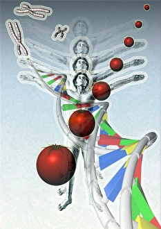 Deoxyribonucleic Acid Structure Imprime: Genetic modification