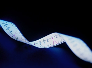 Genetic Information Storage Imprime: Genetic sequence