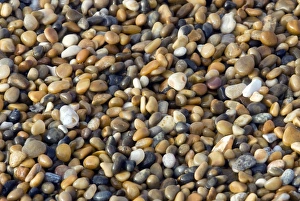 Coastal Erosion UK Imprime: Graded shingle