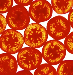 Gráficos Y Patrones Imprime: Rodajas de tomate