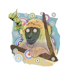 Euphorbiaceae Family Imprime: Hallucinating monkey, artwork