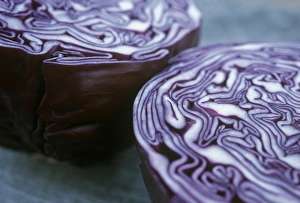 Brassica Oleracea Imprime: Halved red cabbage