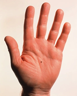 Impresiones de Microcogos (imagen 1 de 3). Mano sostiene microcogos formando un mecanismo de microgear. Esto podría utilizarse en una máquina micrométrica, o sistema MicroElectroMechanical System (MEMS) Imágenes fechadas en 1999 Septiembre: Mano sosteniendo microcojines