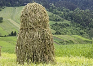 Tatra Mountains Landscape Imprime: Hay stack