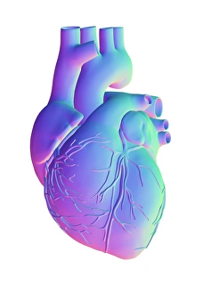 Computer Generated Heart Image Imprime: Heart, computer artwork
