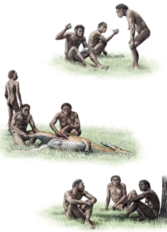 Impresiones de El comportamiento del Homo erectus es una impresión artística de Homo ergaster. El H. erectus se considera tradicionalmente un tipo temprano de H Imágenes de junio de 2006: Comportamiento de Homo erectus