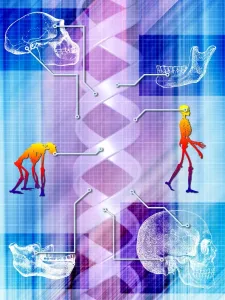 Cuerpo Humano Imprime: Evolución humana
