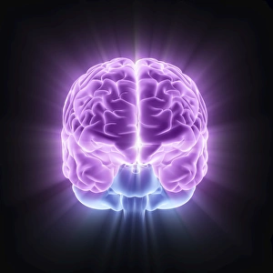 Brain Computer Artwork Imprime: Human brain, computer artwork