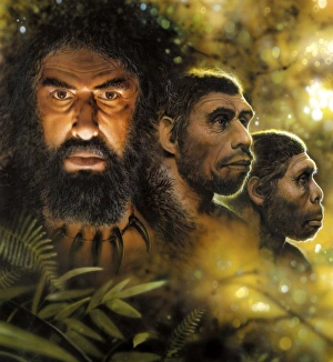 Hominid Evolution Imprime: Human evolution, conceptual image C013 / 9574