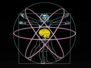 Imágenes fechadas en febrero de 2007: Inteligencia humana