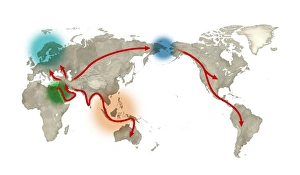 Impresiones de La migración humana: Arte que muestra la historia global de la migración humana. Los humanos modernos surgieron hace 200.000 años en África (izquierda) Imágenes fechadas en febrero de 2013: Migración humana, arte