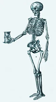 Impresiones de Esqueleto humano Imágenes fechadas en 2004: Esqueleto humano