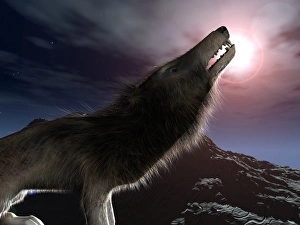 Prehistoric Mammal Imprime: Hyaenodon