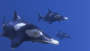 Prehistoric Sea Creature Imprime: Ichthyosaurus