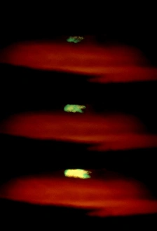 Light Refraction Science Imprime: Image of the green flash effect