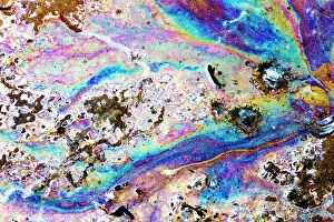 Impresiones de El patrón de interferencia de colores causado por la luz reflejada sobre una capa delgada de aceite flotando en el agua es un efecto que se observa aquí como resultado de la descomposición del Imágenes fechadas en enero de 2009: Patrón de interferencia del aceite en el agua