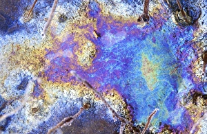 Impresiones de Párrafos de interferencia en un hielo congelado que contiene películas delgadas de aceite. El aceite se ha liberado por la descomposición de hojas sobre el borde del lago Imágenes fechadas en enero de 2006: Patrones de interferencia en un hielo congelado