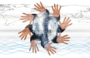 Identity Theft Prevention Imprime: Internet security