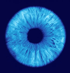Imágenes de julio de 2004: El irís del ojo