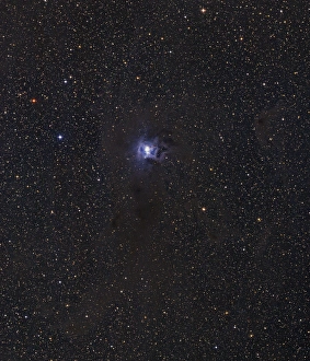 Science Space Images Imprime: Iris Nebula
