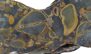 Mineral Specimen Photography Imprime: Jasper