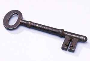 Insect Anatomy Imprime: Key