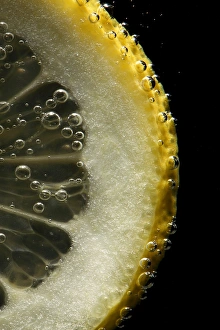Lemon Slice Imprime: Lemon slice