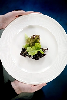 Low Calorie Meal Ideas Imprime: Lettuce
