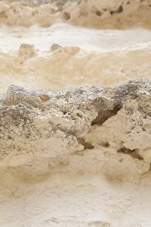Cape Range National Park Imprime: Limestone layers