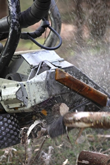 Logging Industry Imprime: Logging machine
