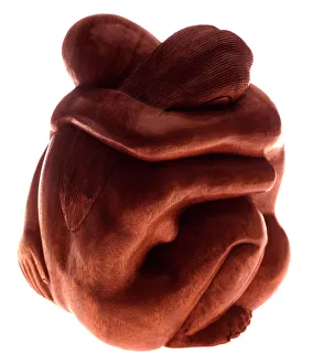 Impresiones de Amantes, escultura de madera Imágenes fechadas en 2004: Lovers