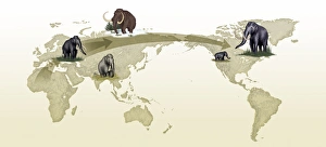 Ice Age Animals Imprime: Mammoth evolutionary migration, artwork
