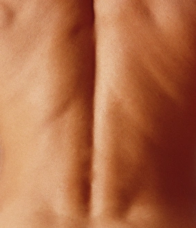 Male Anatomy Imprime: Mans back