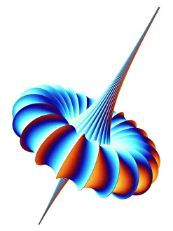 Imágenes de noviembre de 2008: Modelo matemático, arte