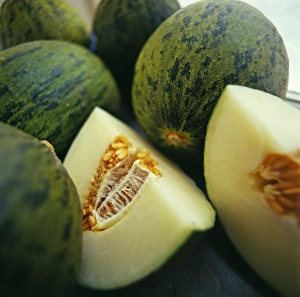 Colorful Fruit Images Imprime: Melons