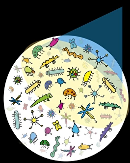 Light Microscopy Images Imprime: Microbes