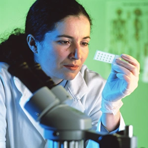 Scientific Research Equipment Imprime: Microscope sample