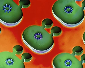 Coloured Scanning Electron Microscopy Imprime: Miniature engine, SEM