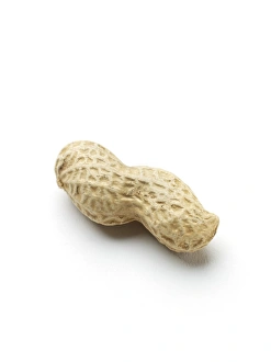 Tropical Fruit Imprime: Monkey nut