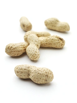 Exotic Fruit Images Imprime: Monkey nuts